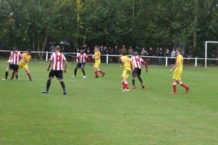 44847688201_59031338fc_k