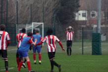 Early Winter 2018 339