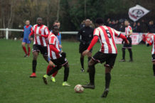 Early Winter 2018 619