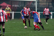 Early Winter 2018 681