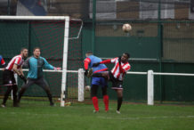 Early Winter 2018 990